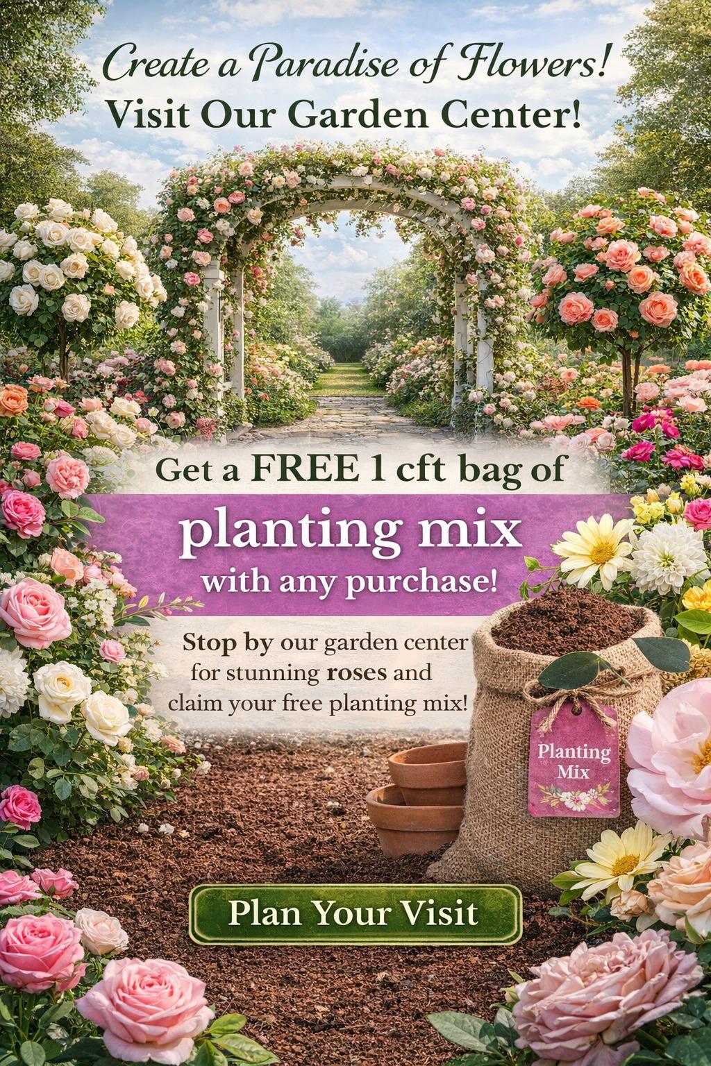 Create a Paradise of Flowers - Free planting mix with any purchase at EarthStoneRock Garden Center Visalia